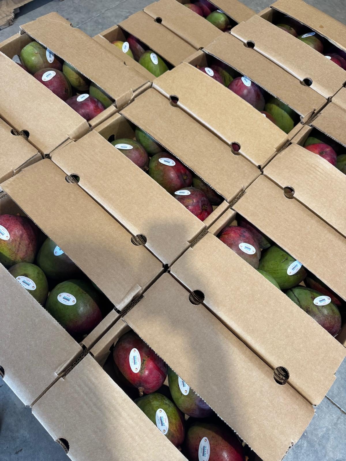 Cartons of mangoes stacked on a pallet