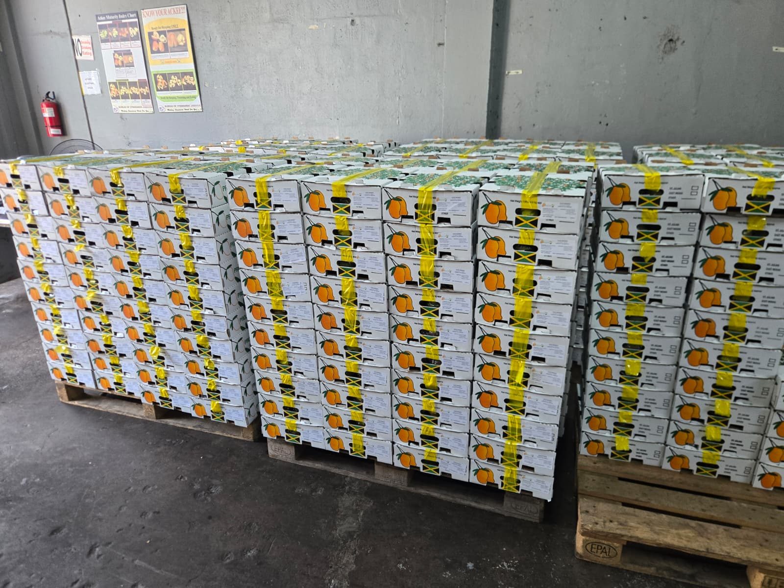 Palletized cartons stacked in a cold room