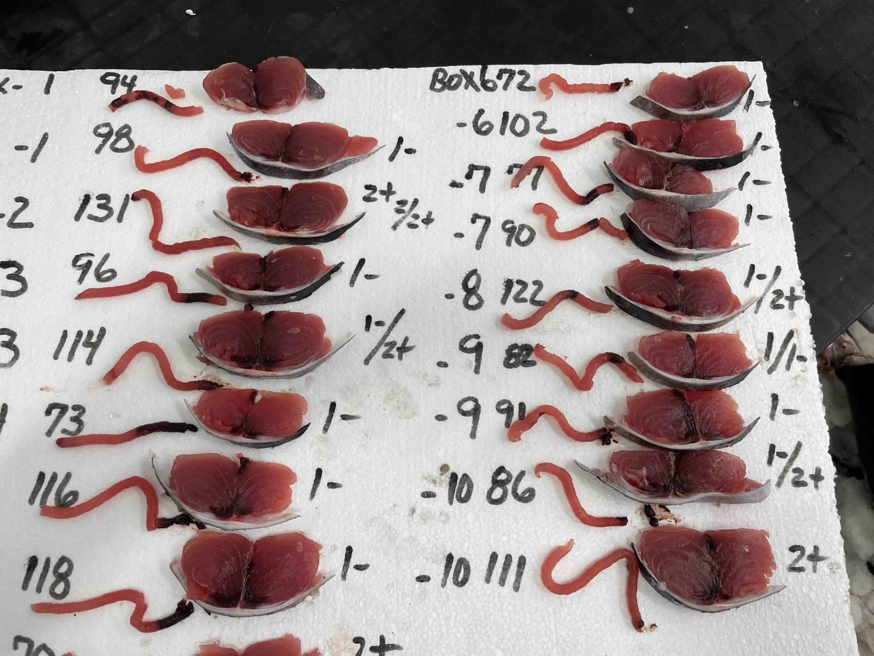 Tail-cut samples with grades written beside each