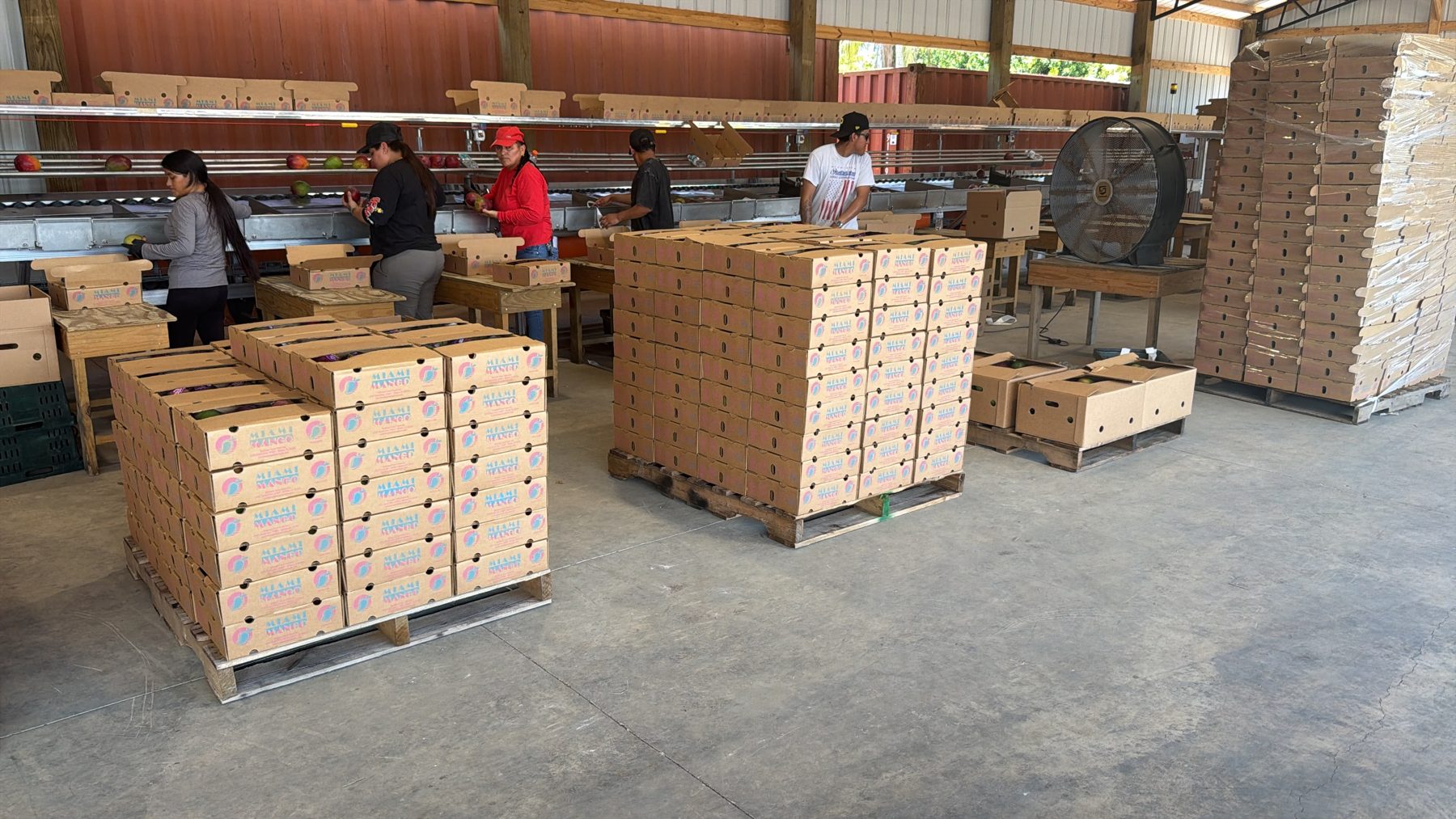 A produce warehouse floor with pallets and staff